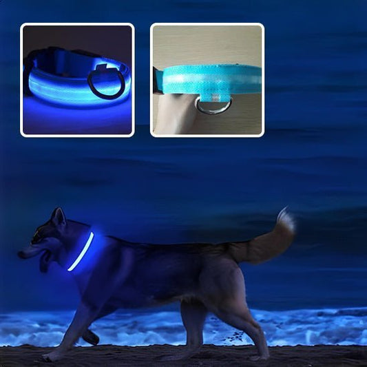 Collier Lumineux Pour Chien - Dazzlingcollar™ - Woof et plus