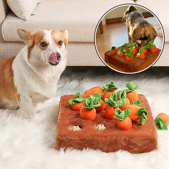 jouet pour chien - carrot garden™