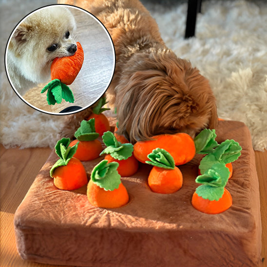 jouet-pour-petit-chien-carrot-garden