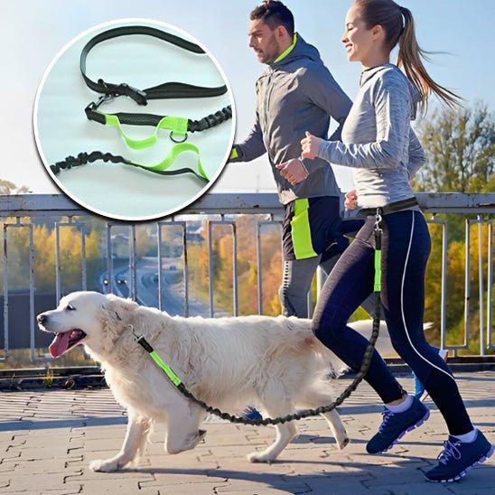 laisse pour chien - jogging - Woof et plus