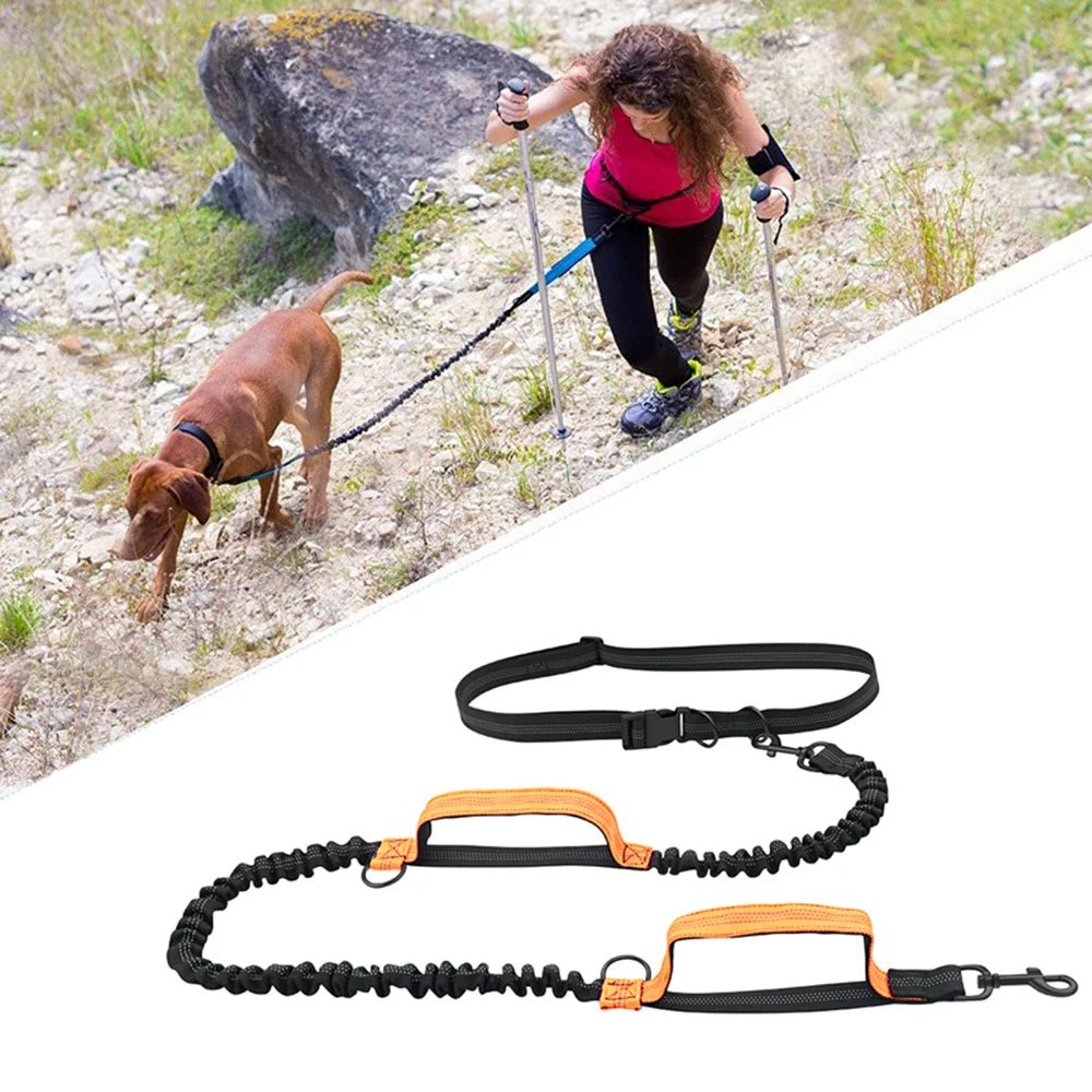 laisse pour chien - jogging - Woof et plus