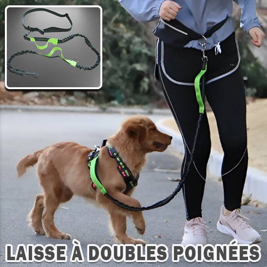 laisse pour chien - jogging - Woof et plus